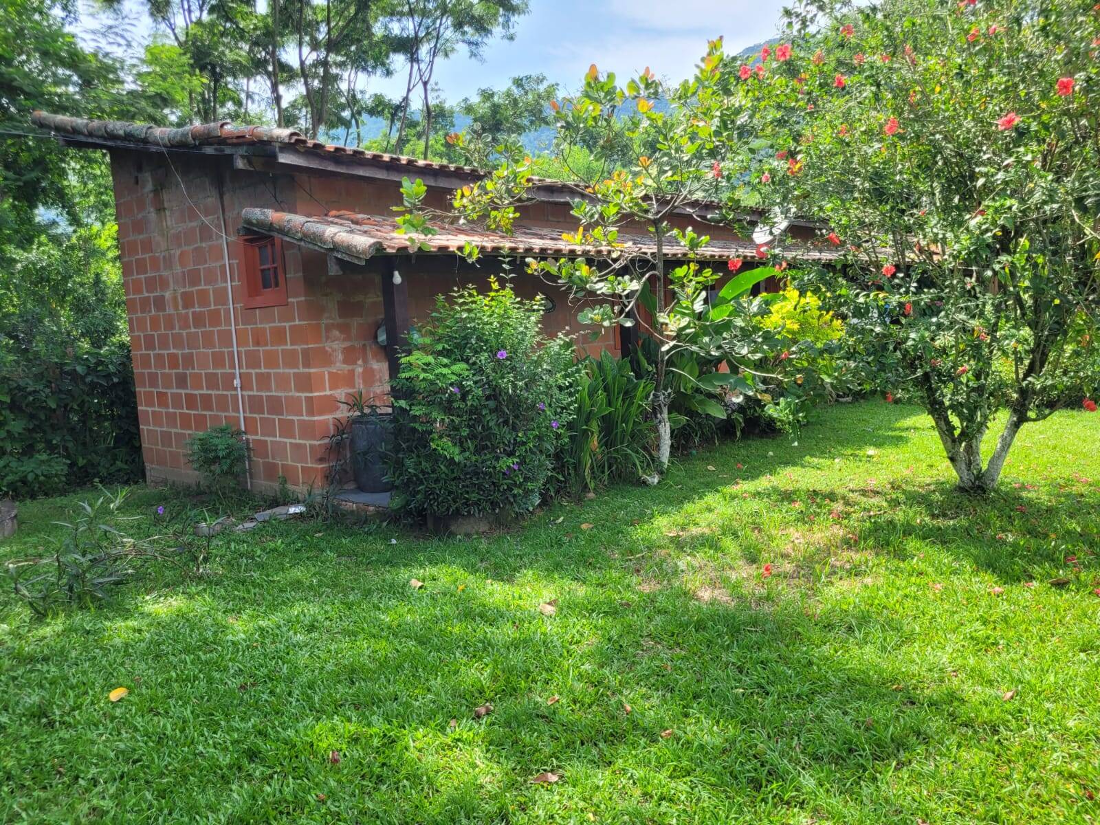 Terreno, 1351 m² - Foto 5