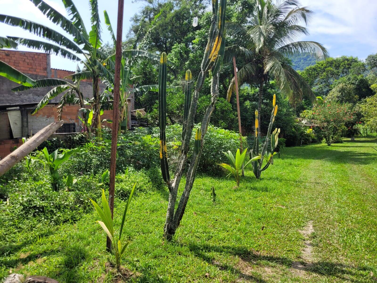 Terreno, 1351 m² - Foto 17