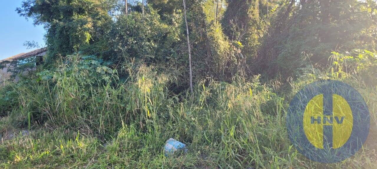 Terreno, 600 m² - Foto 4