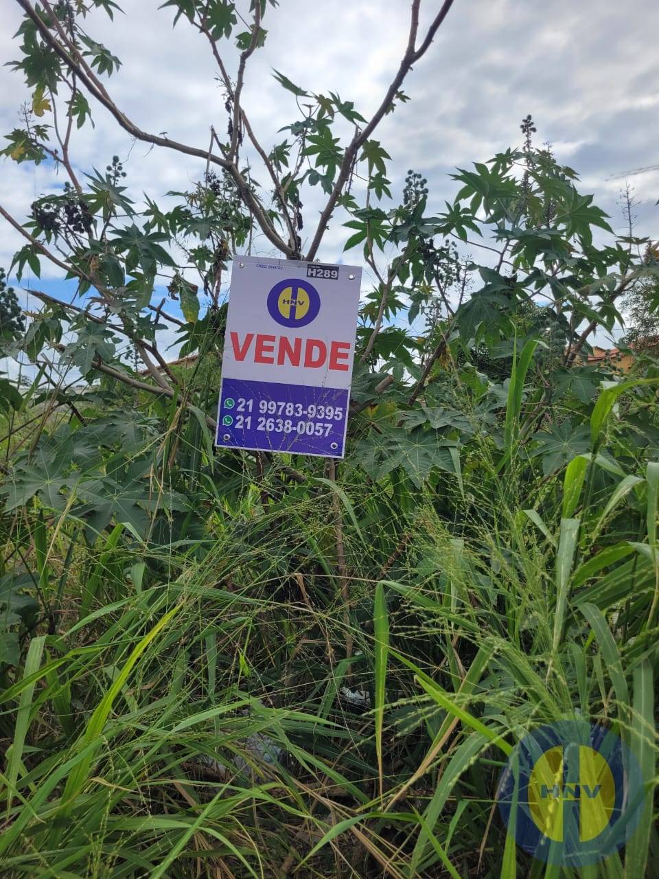 Terreno, 4402 m² - Foto 1